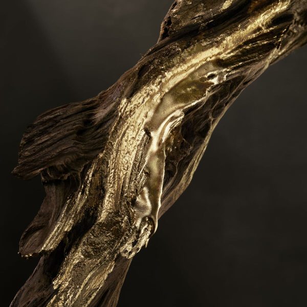 S05126646_15